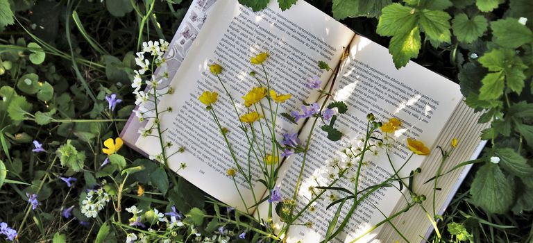 Natur und Literatur pur - AUSGEBUCHT