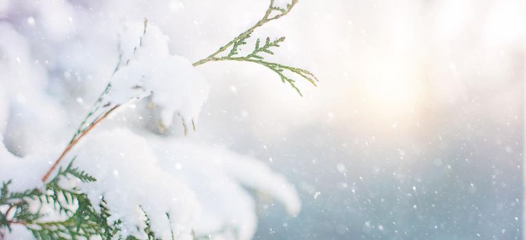 B(es)uch im Winterwunderland