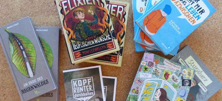 5 x 6 Bücher