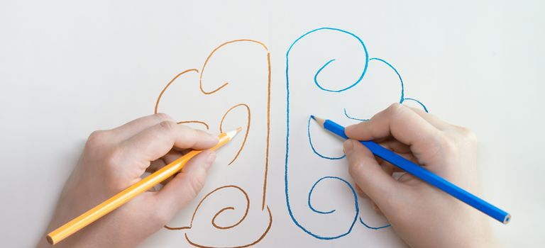 Presseakademie-Online: Gehirngerecht sprechen und schreiben