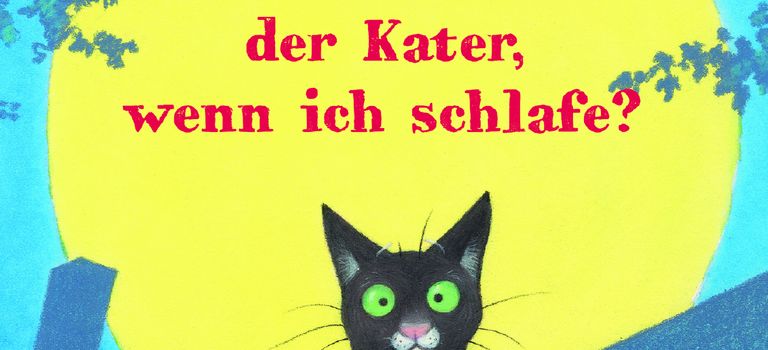 Was macht der Kater, wenn ich schlafe?