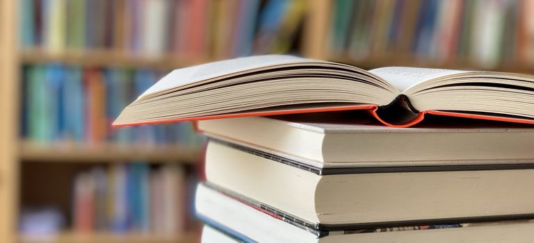 Lust aufs Lesen mit den Bücherwelten 2021