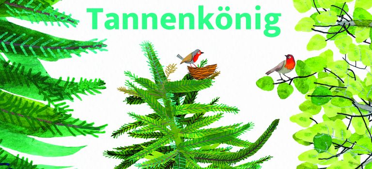 Der Geschichtenteppich zur Weihnachtszeit